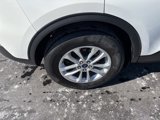 Used 2022 Ford Escape SE w/ Convenience Package image 4