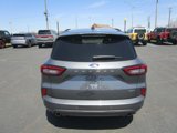 Used 2023 Ford Escape ST-Line Elite image 5