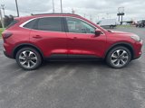 New 2025 Ford Escape Platinum w/ Premium Technology Package image 4