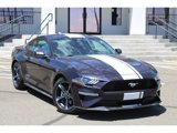 Used 2022 Ford Mustang Coupe image 3