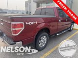 Used 2013 Ford F150 XLT w/ Luxury Equipment Group image 4