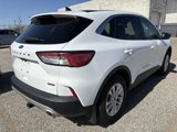 Used 2022 Ford Escape SE w/ Cold Weather Package image 3