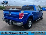 Used 2013 Ford F150 XLT w/ Luxury Equipment Group image 3