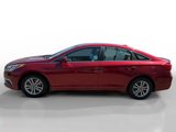 Used 2015 Hyundai Sonata SE image 2