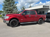 Used 2014 Ford F150 XLT w/ Equipment Group 302A Luxury image 4