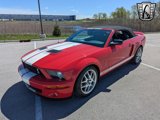 Used 2007 Ford Mustang Shelby GT500 image 2