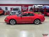 Used 2003 Ford Mustang Mach 1 image 2