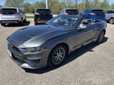 Used 2019 Ford Mustang Premium w/ Equipment Group 201A image 3