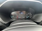 Used 2020 Ford Escape SE image 4
