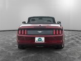 Used 2017 Ford Mustang Premium image 4