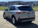 Used 2022 Ford Escape SE w/ Convenience Package image 5