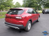 Used 2022 Ford Escape SE w/ Convenience Package image 5