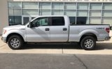 Used 2010 Ford F150 XLT image 4