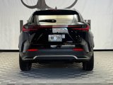 Used 2024 Lexus NX 350 F Sport image 6
