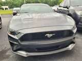 Used 2020 Ford Mustang Premium image 2