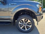 Used 2019 Ford F150 XL w/ Equipment Group 101A Mid image 2