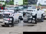 View Video