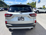 Used 2023 Ford Escape Active w/ Tech Pack #2 image 3