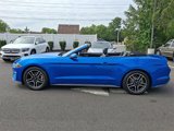 Used 2021 Ford Mustang Premium image 4
