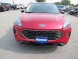 Used 2022 Ford Escape SE w/ SE Sport Appearance Package image 2
