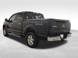 Used 2016 Ford F150 XLT w/ Equipment Group 302A Luxury image 3