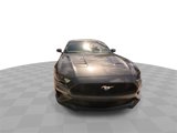 Used 2019 Ford Mustang Coupe image 4