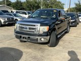 Used 2013 Ford F150 XLT w/ Luxury Equipment Group image 3