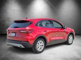 Used 2025 Ford Escape Active w/ Tech Pack #1 image 3
