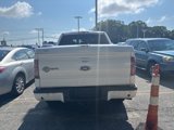 Used 2012 Ford F150 Harley-Davidson image 5