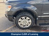 Used 2013 Ford F150 Platinum image 2