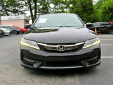 Used 2017 Honda Accord EX-L image 4