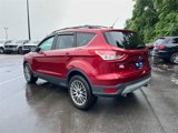 Used 2013 Ford Escape SE image 5