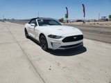 Certified 2019 Ford Mustang Premium image 3