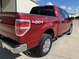 Used 2014 Ford F150 XLT w/ Equipment Group 302A Luxury image 4