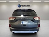 Used 2020 Ford Escape SEL image 4