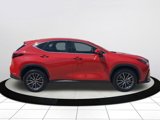 Certified 2025 Lexus NX 250 FWD w/ Premium Package image 3