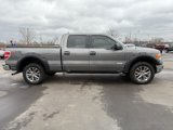 Used 2013 Ford F150 XLT image 6