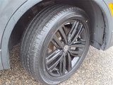 Used 2022 Volkswagen Tiguan SE R-Line image 4