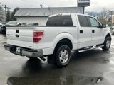 Used 2013 Ford F150 XLT image 6