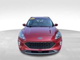 Used 2021 Ford Escape SEL image 2