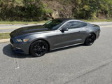 Used 2016 Ford Mustang Coupe w/ Ecoboost Performance Package image 4