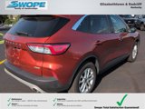 Used 2020 Ford Escape SE image 3