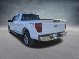 Used 2024 Ford F150 XLT image 5