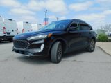 Used 2020 Ford Escape SEL image 4