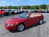 Used 2003 Ford Mustang GT image 3