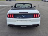 Used 2023 Ford Mustang Premium image 5