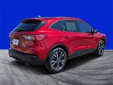 Certified 2022 Ford Escape SE image 3