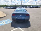 New 2025 Ford Mustang Premium image 4