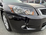 Used 2010 Honda Accord EX-L image 6