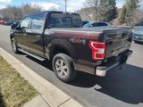 Certified 2019 Ford F150 XLT w/ Equipment Group 302A Luxury image 5
